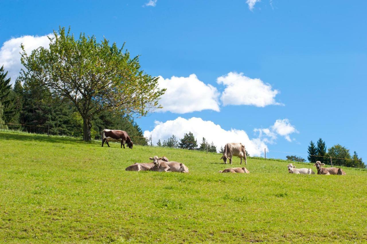 Gasthof Ebner Pfiffikus Aldino Exteriér fotografie